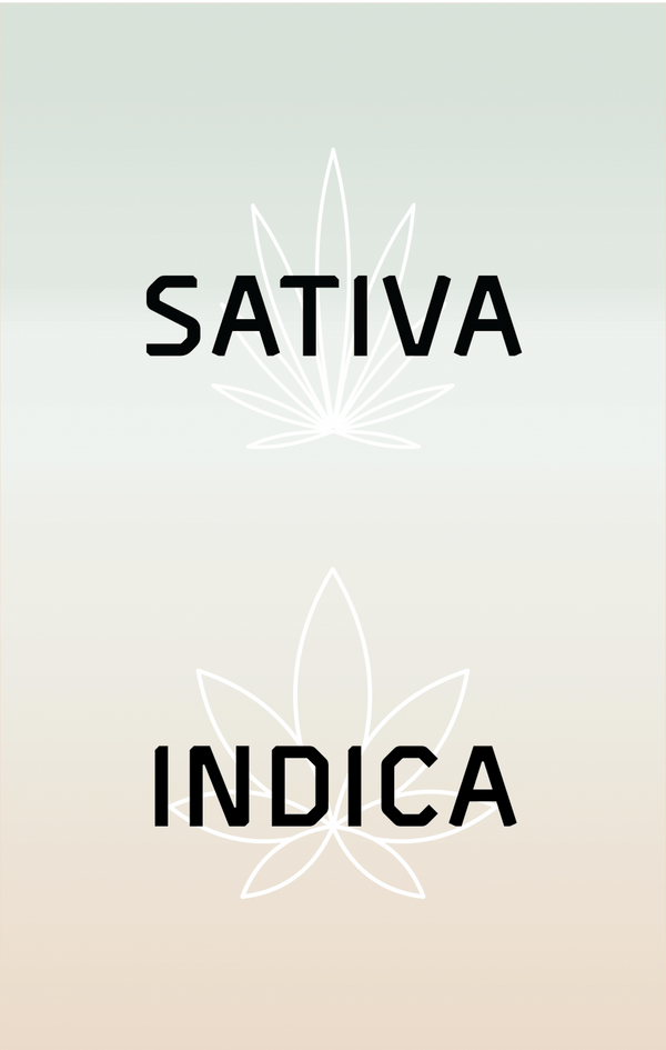 Indica and Sativa: What’s the Difference?