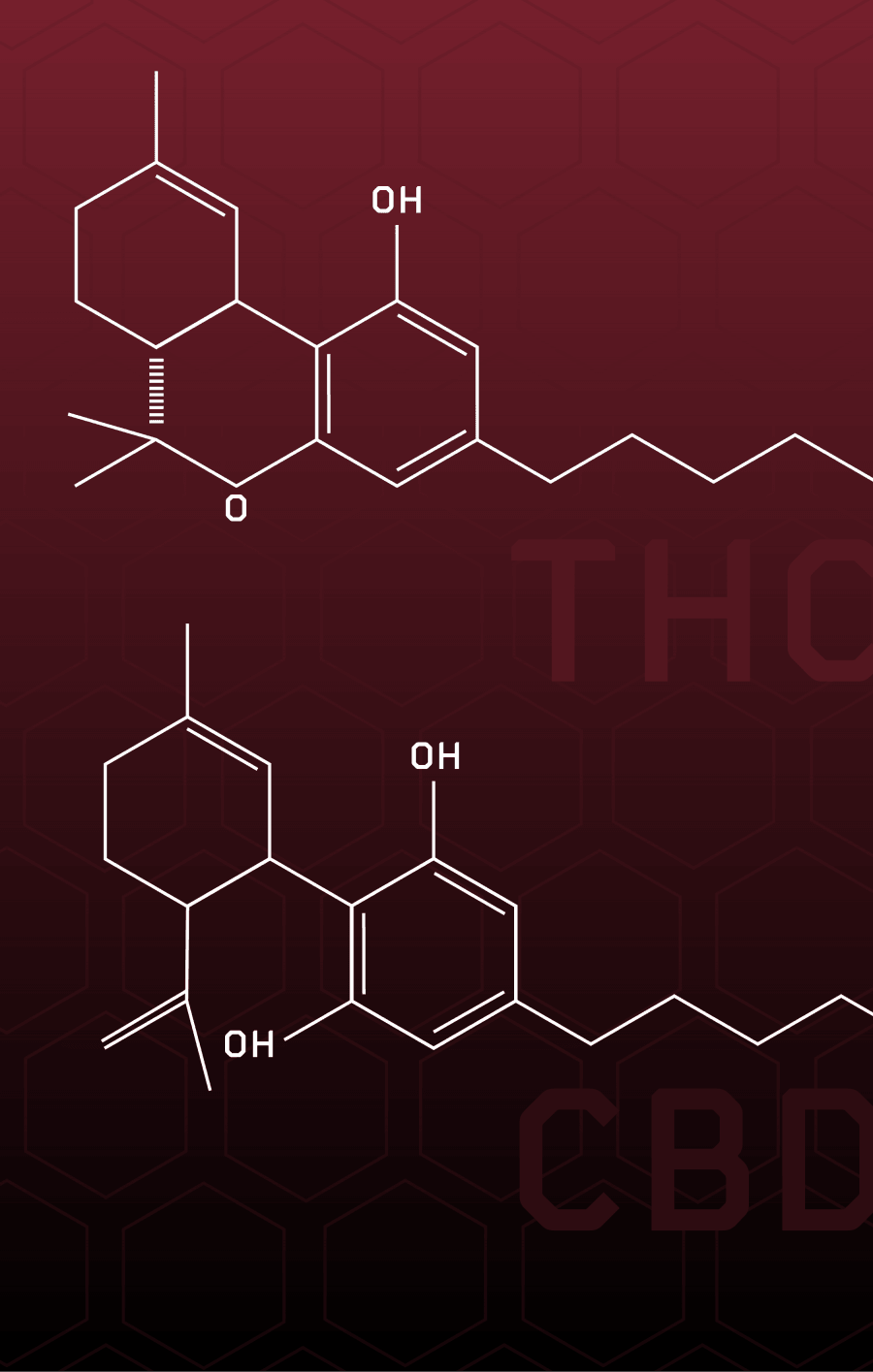 THC and CBD: An Introduction to Cannabinoids